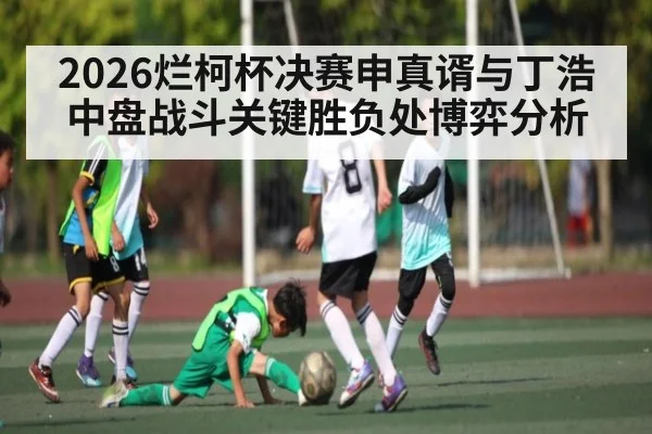 2026烂柯杯决赛申真谞与丁浩中盘战斗关键胜负处博弈分析 - PG